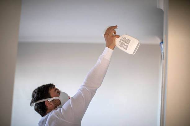 Best Residential Mold Remediation in Suncoast Estates, FL