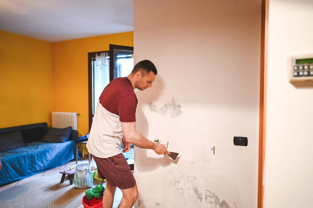 Best Industrial Mold Remediation in Suncoast Estates, FL
